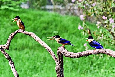 《太空房地产》已登抢先体验 Steam褒贬不一