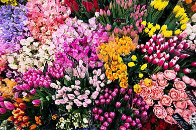 特斯拉电动卡车开启交付 首批客户为百事旗下子公司