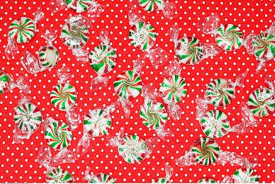 《Striden》开启测试 辐射变异题材多人射击