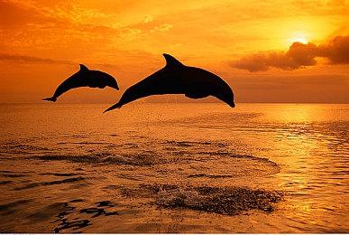 传育碧考虑成立合资公司 腾讯将是潜在投资人